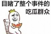 娱乐吃瓜菌体育,娱乐吃瓜菌带你揭秘精彩瞬间
